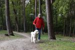 Rolde 19 mei 2021
Johan Derksen aan het wandelen met zijn hond in de boosen bij Rolde