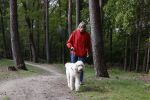 Rolde 19 mei 2021
Johan Derksen aan het wandelen met zijn hond in de boosen bij Rolde