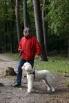 Rolde 19 mei 2021
Johan Derksen aan het wandelen met zijn hond in de boosen bij Rolde