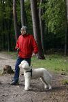 Rolde 19 mei 2021
Johan Derksen aan het wandelen met zijn hond in de boosen bij Rolde