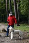 Rolde 19 mei 2021
Johan Derksen aan het wandelen met zijn hond in de boosen bij Rolde