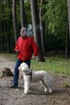 Rolde 19 mei 2021
Johan Derksen aan het wandelen met zijn hond in de boosen bij Rolde