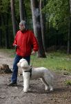 Rolde 19 mei 2021
Johan Derksen aan het wandelen met zijn hond in de boosen bij Rolde