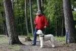 Rolde 19 mei 2021
Johan Derksen aan het wandelen met zijn hond in de boosen bij Rolde