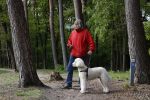 Rolde 19 mei 2021
Johan Derksen aan het wandelen met zijn hond in de boosen bij Rolde