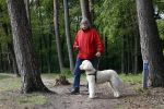 Rolde 19 mei 2021
Johan Derksen aan het wandelen met zijn hond in de boosen bij Rolde