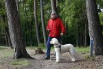 Rolde 19 mei 2021
Johan Derksen aan het wandelen met zijn hond in de boosen bij Rolde