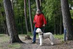 Rolde 19 mei 2021
Johan Derksen aan het wandelen met zijn hond in de boosen bij Rolde