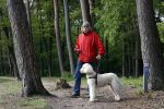Rolde 19 mei 2021
Johan Derksen aan het wandelen met zijn hond in de boosen bij Rolde