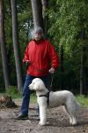 Rolde 19 mei 2021
Johan Derksen aan het wandelen met zijn hond in de boosen bij Rolde