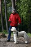 Rolde 19 mei 2021
Johan Derksen aan het wandelen met zijn hond in de boosen bij Rolde
