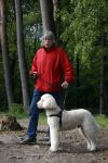 Rolde 19 mei 2021
Johan Derksen aan het wandelen met zijn hond in de boosen bij Rolde
