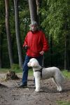Rolde 19 mei 2021
Johan Derksen aan het wandelen met zijn hond in de boosen bij Rolde