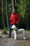 Rolde 19 mei 2021
Johan Derksen aan het wandelen met zijn hond in de boosen bij Rolde