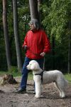 Rolde 19 mei 2021
Johan Derksen aan het wandelen met zijn hond in de boosen bij Rolde
