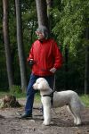 Rolde 19 mei 2021
Johan Derksen aan het wandelen met zijn hond in de boosen bij Rolde