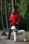 Rolde 19 mei 2021
Johan Derksen aan het wandelen met zijn hond in de boosen bij Rolde