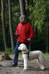 Rolde 19 mei 2021
Johan Derksen aan het wandelen met zijn hond in de boosen bij Rolde