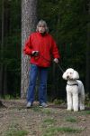 Rolde 19 mei 2021
Johan Derksen aan het wandelen met zijn hond in de boosen bij Rolde