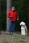 Rolde 19 mei 2021
Johan Derksen aan het wandelen met zijn hond in de boosen bij Rolde