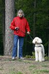 Rolde 19 mei 2021
Johan Derksen aan het wandelen met zijn hond in de boosen bij Rolde