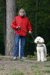 Rolde 19 mei 2021
Johan Derksen aan het wandelen met zijn hond in de boosen bij Rolde