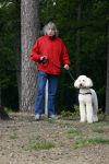 Rolde 19 mei 2021
Johan Derksen aan het wandelen met zijn hond in de boosen bij Rolde
