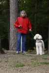 Rolde 19 mei 2021
Johan Derksen aan het wandelen met zijn hond in de boosen bij Rolde
