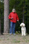 Rolde 19 mei 2021
Johan Derksen aan het wandelen met zijn hond in de boosen bij Rolde