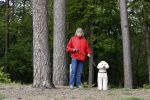 Rolde 19 mei 2021
Johan Derksen aan het wandelen met zijn hond in de boosen bij Rolde