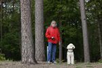 Rolde 19 mei 2021
Johan Derksen aan het wandelen met zijn hond in de boosen bij Rolde