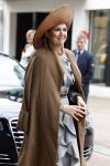 Nuenen 16 mei 2023
Koningin Maxima opent het v Gogh Village Museum in Nuenen.