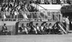 Kerkrade 16 Augustus 1981
Roda JC-PSV , eindstand 2-3
Thijs libregts Ton v Schijndel Dr. Carel v d Brekel Willy Janssen Jung Moo Huh Quintus v d Meulen Michel Valke Jacque van de Ven