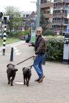 Scheveningen 23 april 2023
Rogier Smit met zijn twee honden