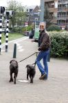 Scheveningen 23 april 2023
Rogier Smit met zijn twee honden
