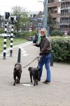 Scheveningen 23 april 2023
Rogier Smit met zijn twee honden
