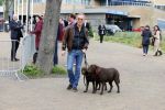Scheveningen 23 april 2023
Rogier Smit met zijn twee honden