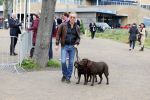 Scheveningen 23 april 2023
Rogier Smit met zijn twee honden