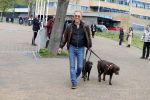 Scheveningen 23 april 2023
Rogier Smit met zijn twee honden