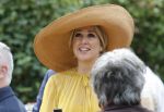 Dokkum 27 april 2026
Koningsdag is dit jaar in Dokkum . Namens de koninklijke familie zijn aanwezig : Koning Willem Alexander Koningin Maxima Prinses Amalia Prinses Alexia Prinses Ariane Prins Constantijn Prinses Laurentien Prins Maurits Prinses Marilene Prins Bernhard Prins Floris Prinses Aimee Prins Pieter Christiaan en Prinses Anita .