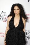 Amsterdam 28 april 2026
Premiere The Devil wears Prada 2 in Tuschinski . Marwa Omari