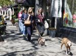 Amsterdam 21 april 2026
Stephanie Tency met haar hondje op de cornelis schuytstraat