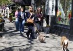 Amsterdam 21 april 2026
Stephanie Tency met haar hondje op de cornelis schuytstraat