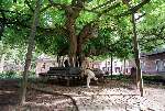 22 mei 1999
Oisterwijk Toerisme