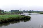 Veldhoven, 4 mei 2000
Golfbaan Gendersteyn
Green Hole 4 en afslag Hole 5