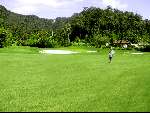 Langkawi 29 mei 2000

Junior smulders op hole 18 met wim slaats


PETER SMULDERS BV