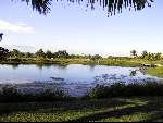 Maandag 31 juli 2000
Borneo Golf & Country club
Golfbaan in Maleisie