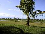 Maandag 31 juli 2000
Borneo Golf & Country club
Golfbaan in Maleisie