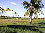 Maandag 31 juli 2000
Borneo Golf & Country club
Golfbaan in Maleisie