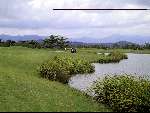 Dalit Bay Golfclub
29juli 2000